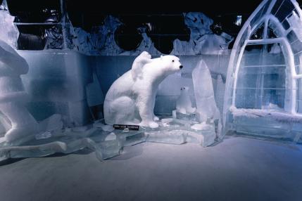 Osos polares en el Icebar de Berlín