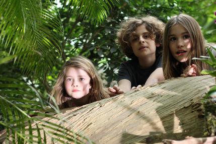 Niños en la selva