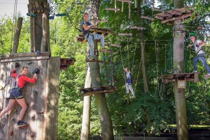 Kletternde Personen im Waldhochseilgarten Jungfernheide