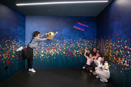 Paradox Museum