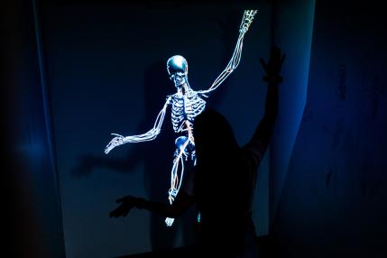 DEJA VU MUSEUM - Museum der Illusionen und optischen Täuschungen