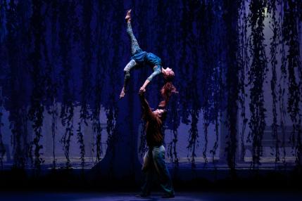 Cirque du Soleil