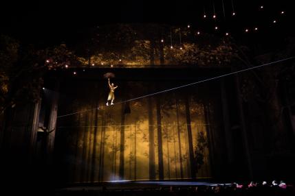 Cirque du Soleil