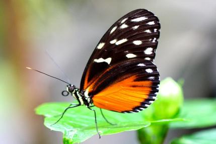 ©Biosphäre Potsdam