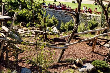 PandaGarden_ZooBerlin_Außengehege