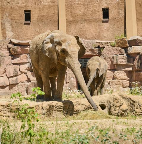 Tierpark Berlin
