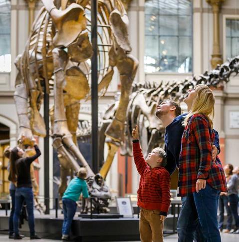 Museum für Naturkunde Berlin Museum für Naturkunde Tristan Dinosaurierskelett