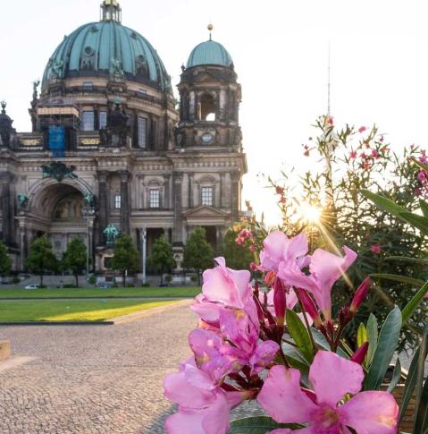 Berliner Dom von Unter den Linden