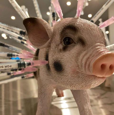 Disgusting Food Museum Berlin - kleine Schweinfigur mit Spritzen