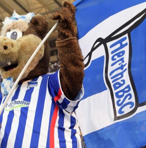 © citypress Hertha BSC Berlin