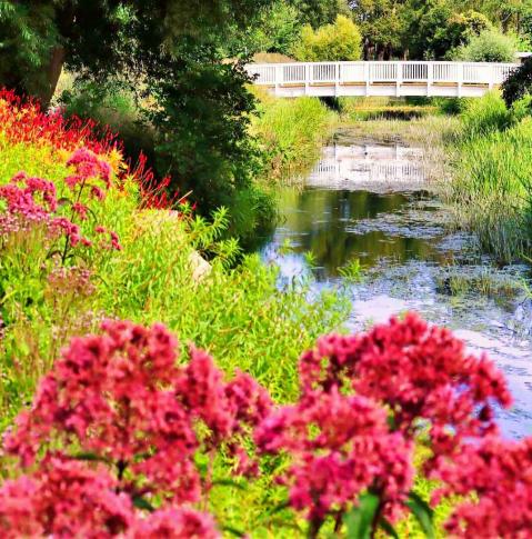 Landesgartenschau Beelitz -  idyllische Gartenlandschaft mit Blumen und Fluß