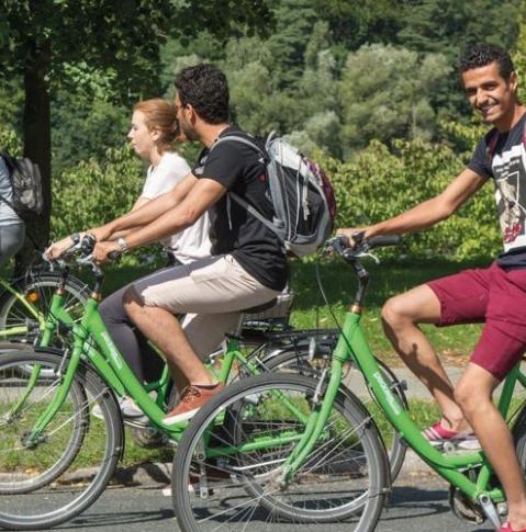 Potsdam per Pedales Leihfahrräder