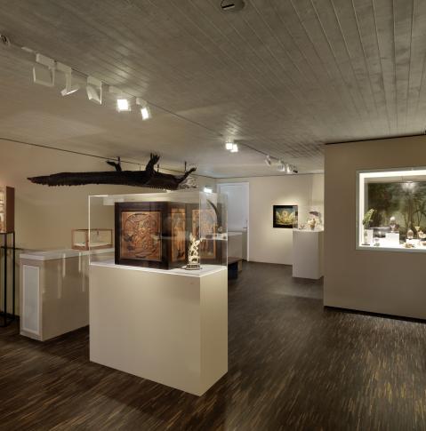 me collectors room Wunderkammer