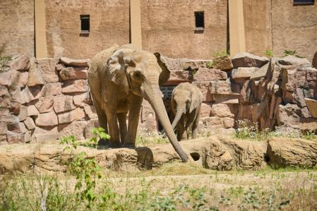 Tierpark Berlin