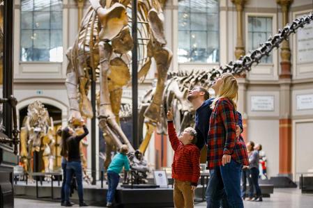 Museum für Naturkunde Tristan Dinosaurierskelett