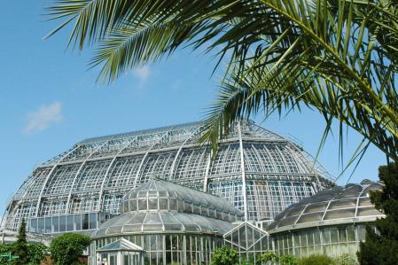 © Botanischer Garten Berlin